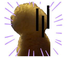 711705777
