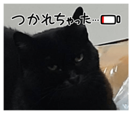 711718160