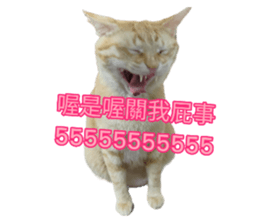 711718727