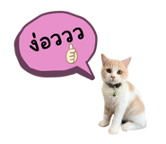 711742135