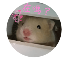 711746770