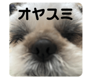 711749649