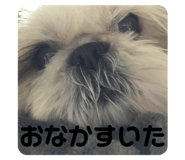 711749655