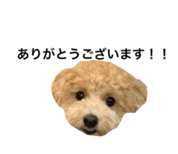 711754385