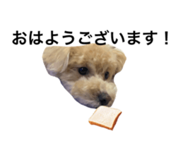 711754390
