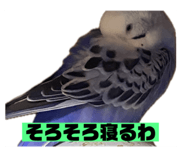711754715