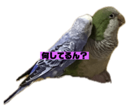 711754727
