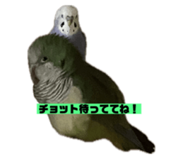 711754728
