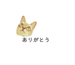 711781063