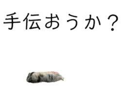 711781064