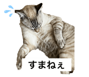 711792949