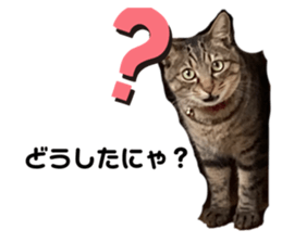 711812752