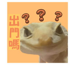 711817589
