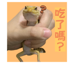 711817591