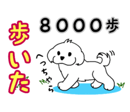 711825062
