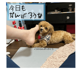711829895