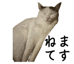 711850102