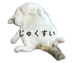 711850104