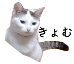 711850111