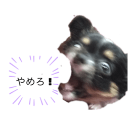 711856702