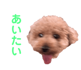 711873838