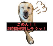 711879962