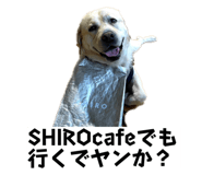 711879968