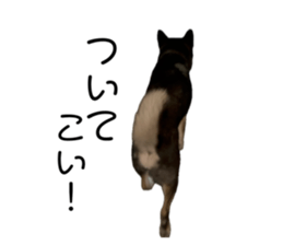 711885445