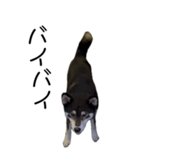 711885451