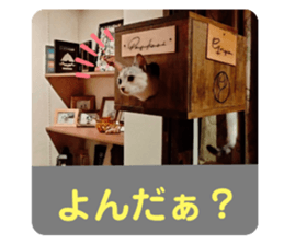 711906784