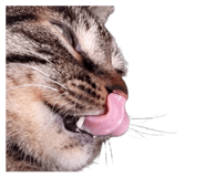 711919890