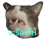 711935801