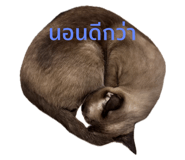711935802