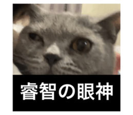 711948584