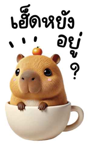 711960796