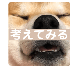 711963729