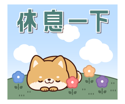 Everyday-use Chubby Shiba Inu รูปที่ 12
