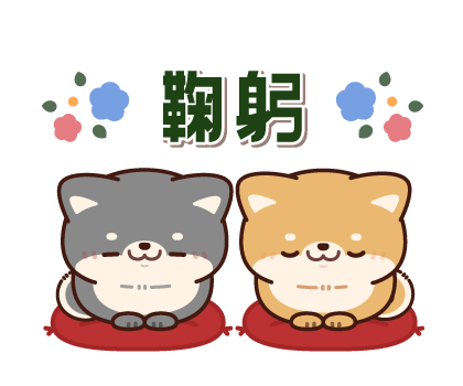 Everyday-use Chubby Shiba Inu รูปที่ 14