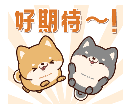 Everyday-use Chubby Shiba Inu รูปที่ 15