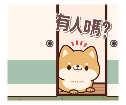 Everyday-use Chubby Shiba Inu รูปที่ 17