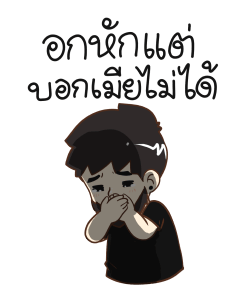 ลายที่ 13