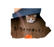 711993410