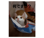711993414