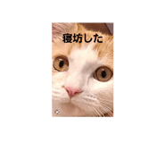 711993419