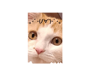 711993420