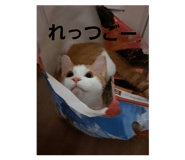 711993421