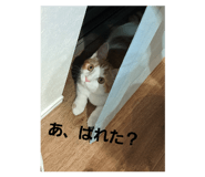 711993425