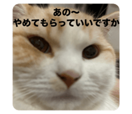 712042502