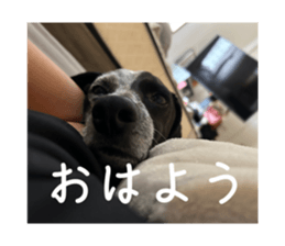 712049331