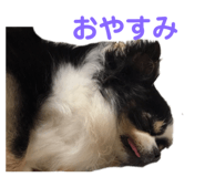 712053437